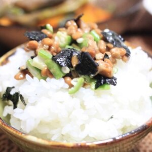 簡単！おくら納豆丼